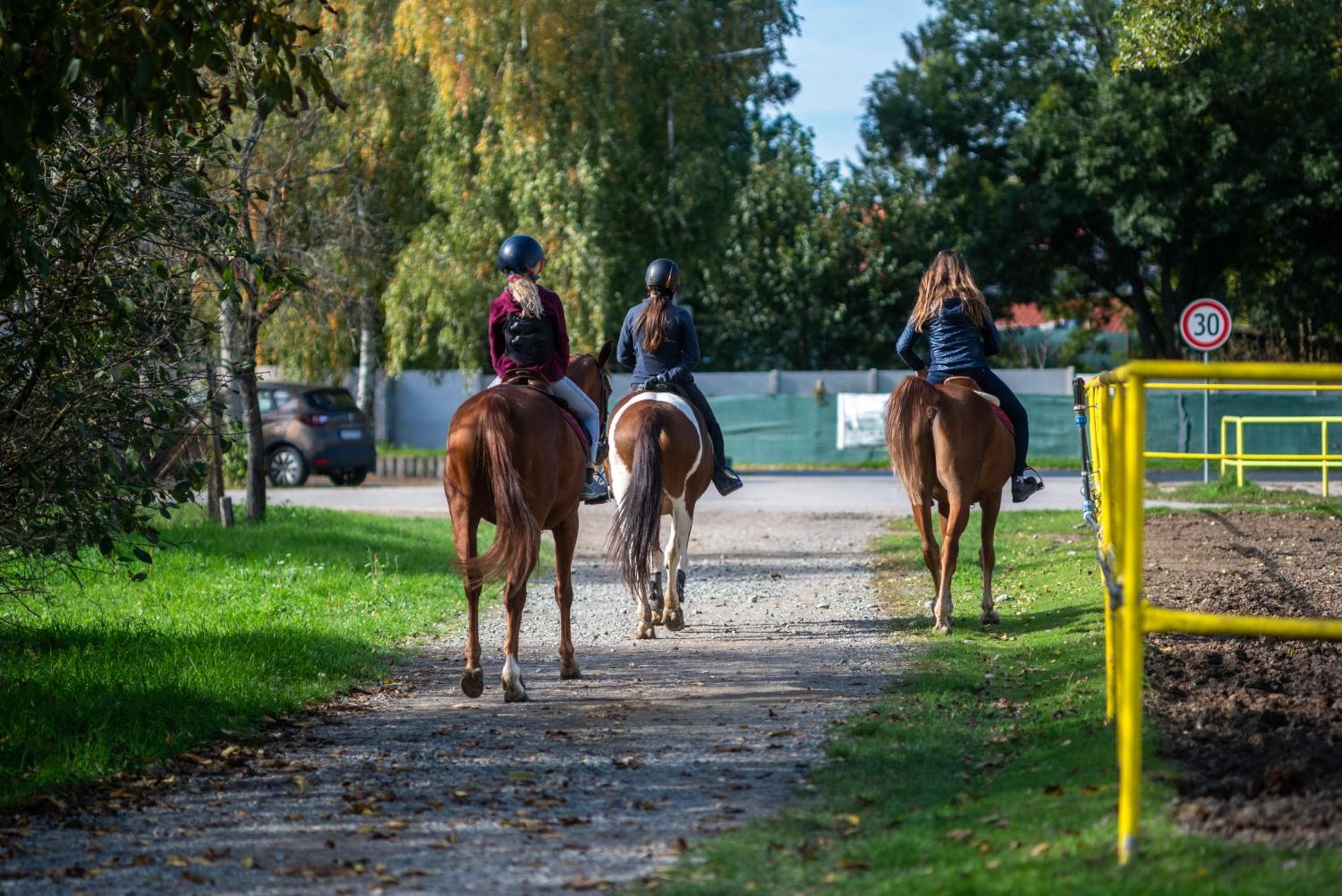 Rezort U Bobiho Novy Tekov Exterior foto