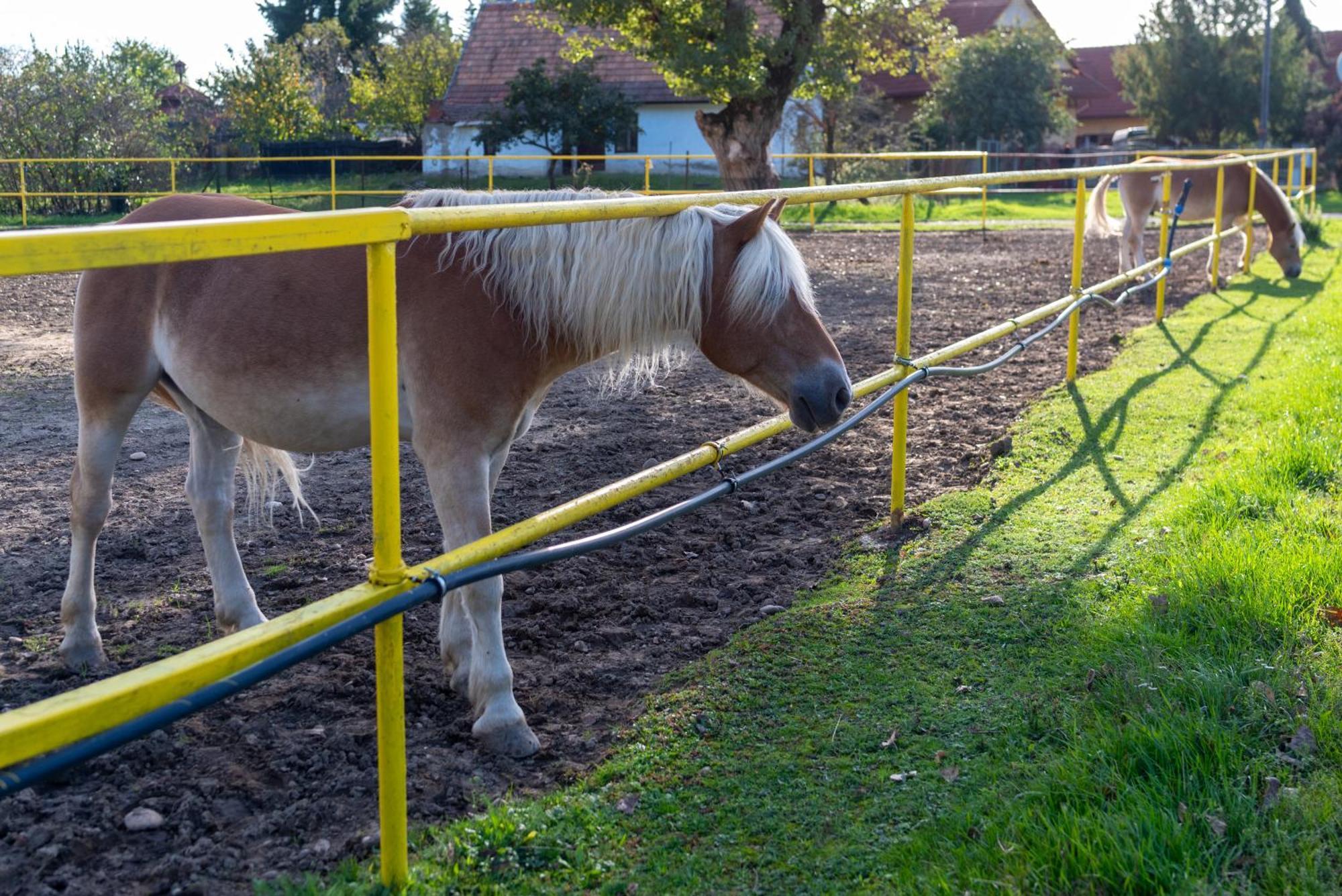 Rezort U Bobiho Novy Tekov Exterior foto